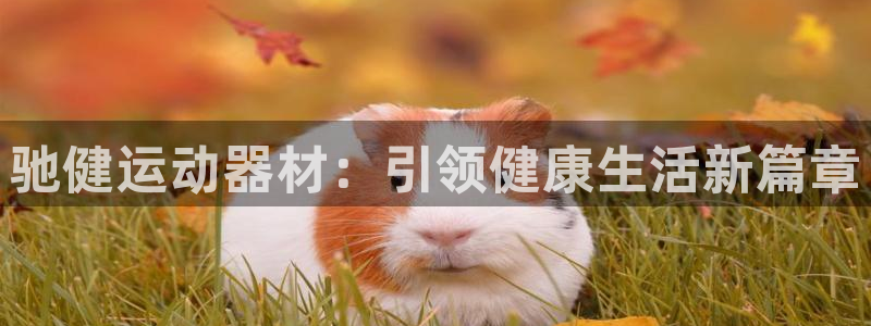 凯捷体育平台假的吗是真的吗吗：驰健运动器材：引领健康