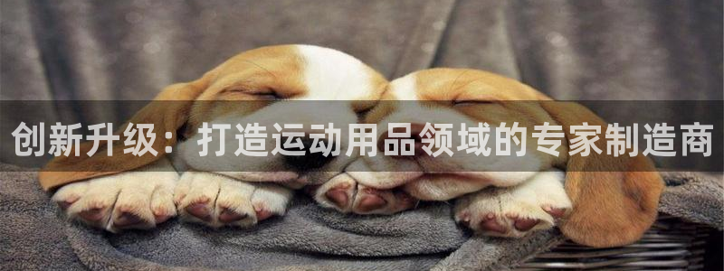 凯捷体育招商电话地址查询：创新升级：打造运动用品领域的专家制