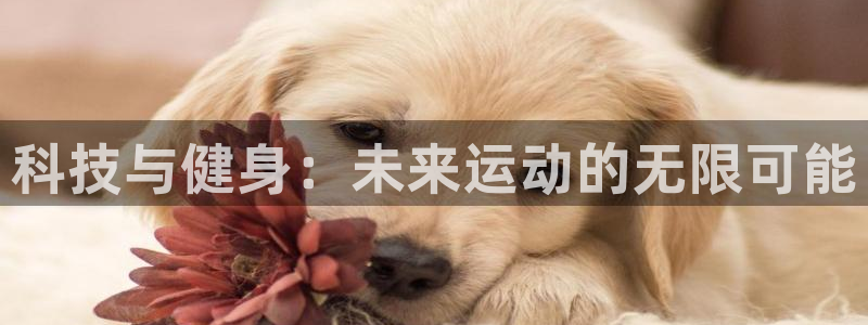 海南凯捷体育：科技与健身：未来运动的无限可能