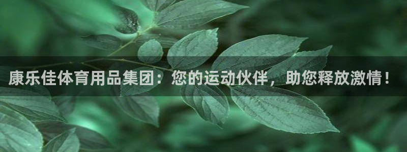 凯捷体育官方：康乐佳体育用品集团：您的运动伙伴，助您