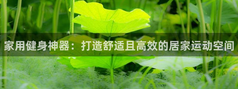 凯捷体育平台是正规平台吗知乎：家用健身神器：打造舒适且高效的