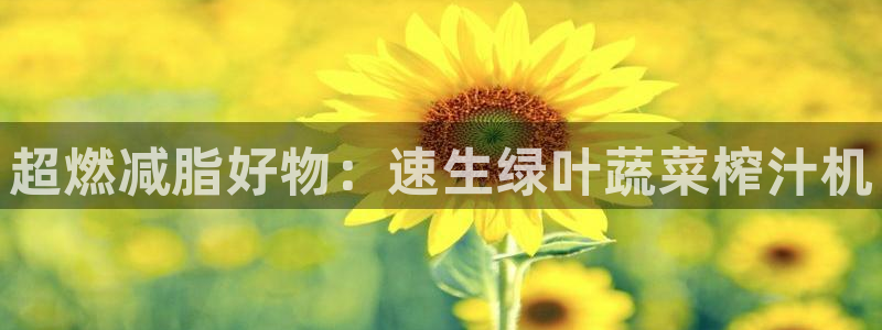 海南凯捷体育发展怎么样：超燃减脂好物：速生绿叶蔬菜榨