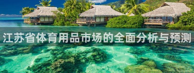 凯捷体育官方：江苏省体育用品市场的全面分析与预测