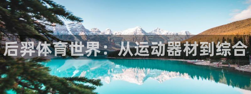 凯捷体育新能源：后羿体育世界：从运动器材到综合