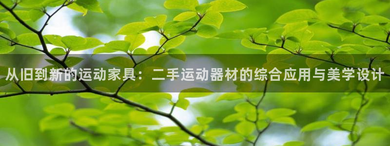 凯捷体育招商电话是多少啊