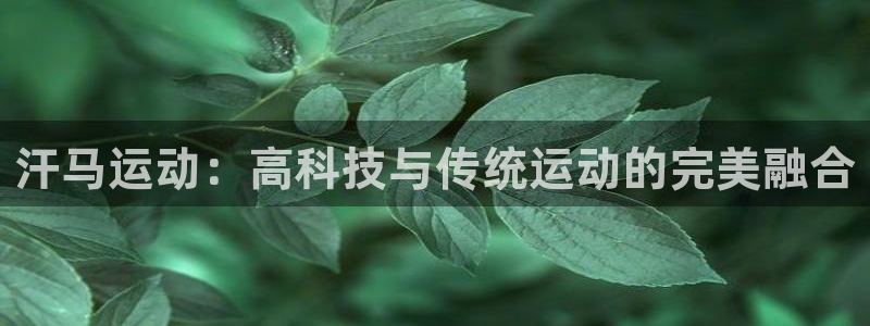 凯捷体育平台注册要钱吗：汗马运动：高科技与传统运动的完美融合