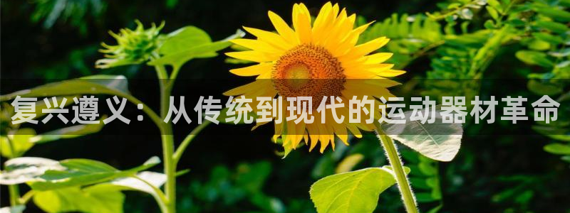 凯捷体育平台注册要钱吗：复兴遵义：从传统到现代的运动器材革命