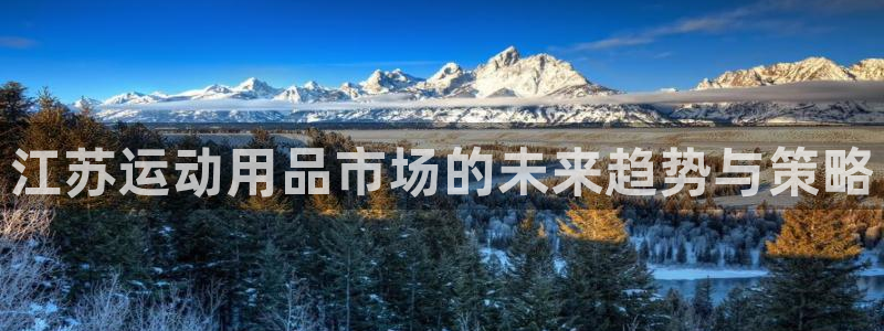 凯捷体育官网：江苏运动用品市场的未来趋势与策略