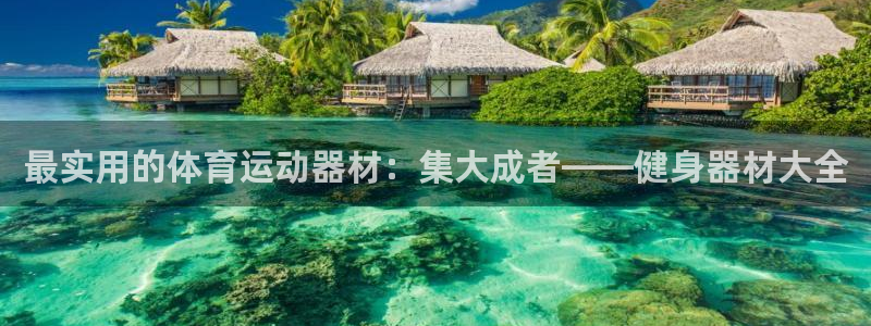 凯捷体育开户：最实用的体育运动器材：集大成者——健身器材大全