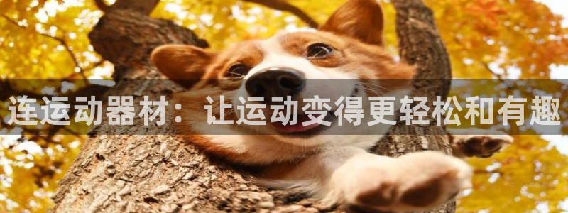 意昂集团官网：连运动器材：让运动变得更轻松和有趣