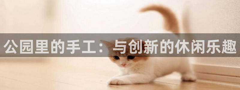 凯捷体育平台是正规平台吗：公园里的手工：与创新的休闲