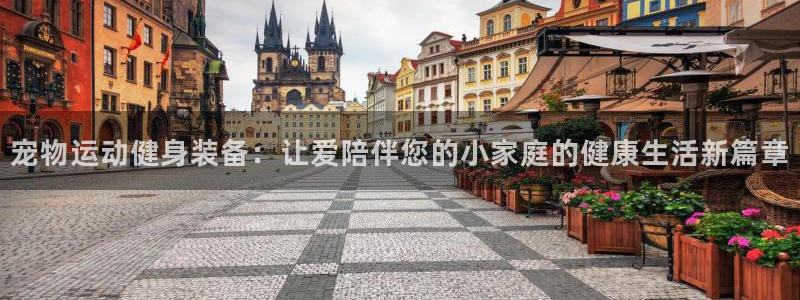 凯捷体育官网：宠物运动健身装备：让爱陪伴您的小家庭的