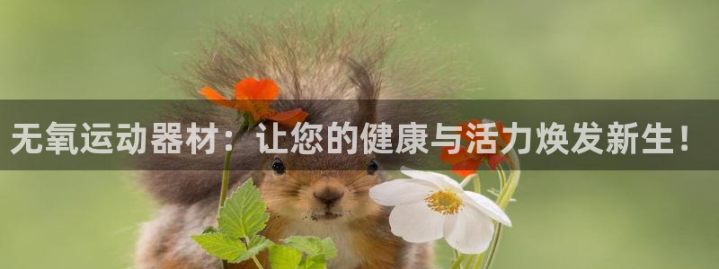 凯捷体育娱乐平台：无氧运动器材：让您的健康与活力焕发