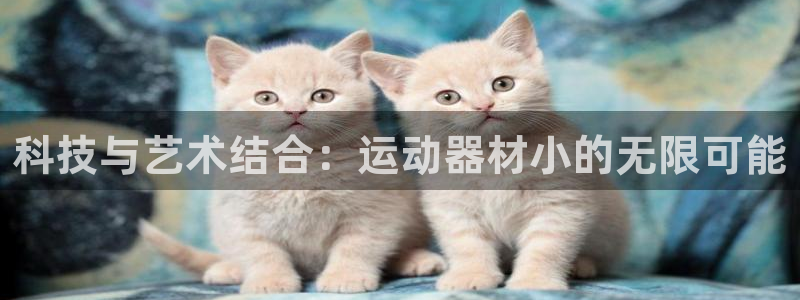 凯捷体育：科技与艺术结合：运动器材小的无限可能