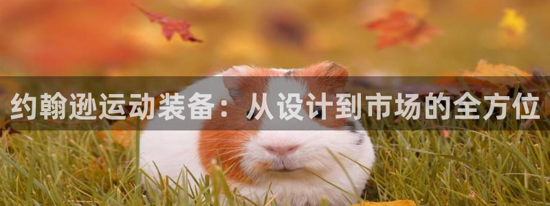 凯捷体育官方