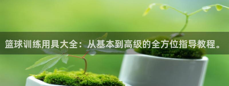 凯捷体育：篮球训练用具大全：从基本到高级的全方位指导