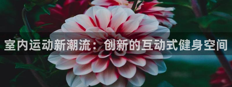 凯捷体育平台APP：室内运动新潮流：创新的互动式健身