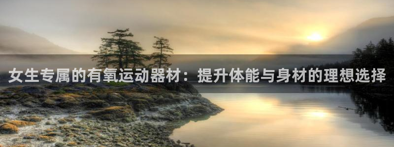 凯捷体育招商电话：女生专属的有氧运动器材：提升体能与