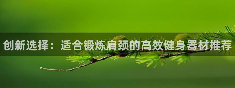 凯捷体育娱乐：创新选择：适合锻炼肩颈的高效健身器材推