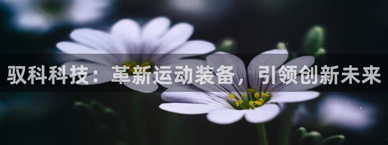 凯捷体育平台