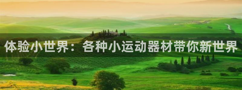 凯捷体育新能源：体验小世界：各种小运动器材带你新世界