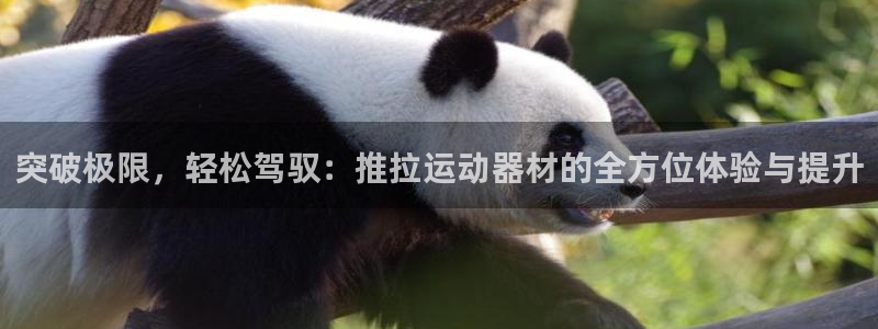 海南凯捷体育：突破极限，轻松驾驭：推拉运动器材的全方位体验与