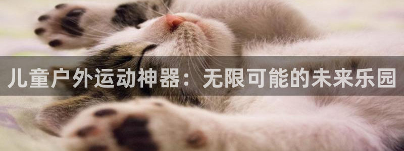凯捷体育新能源：儿童户外运动神器：无限可能的未来乐园