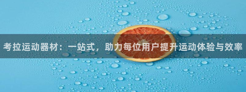 凯捷体育注册：考拉运动器材：一站式，助力每位用户提升