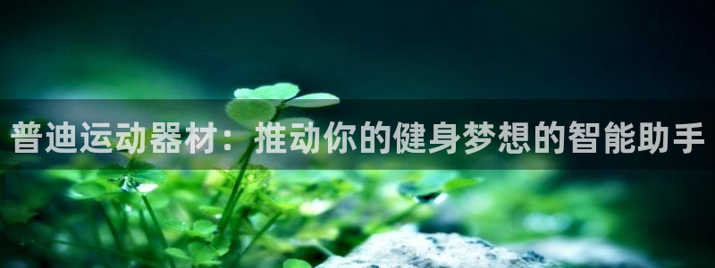 凯捷体育官方客服电话