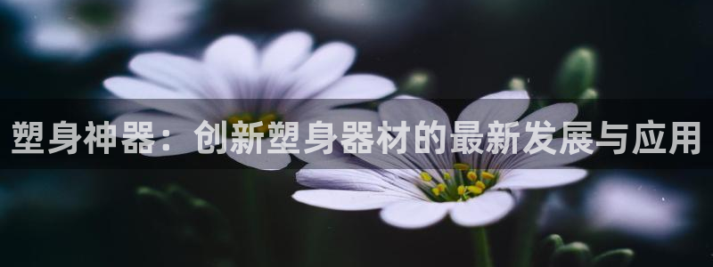 凯捷体育官方：塑身神器：创新塑身器材的最新发展与应用