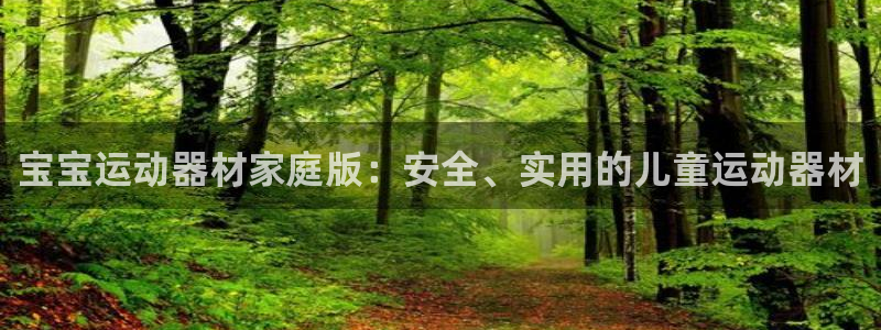 凯捷体育娱乐首页网站大全：宝宝运动器材家庭版：安全、实用的儿