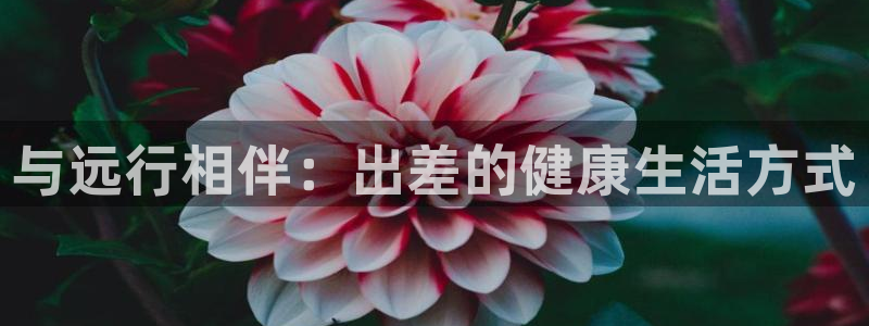 凯捷体育代理