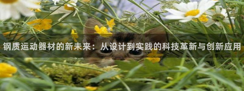 凯捷体育娱乐：钢质运动器材的新未来：从设计到实践的科技革新与
