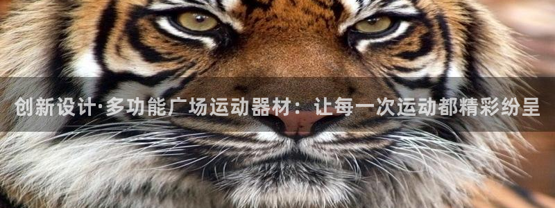 凯捷体育招商电话地址：创新设计·多功能广场运动器材：