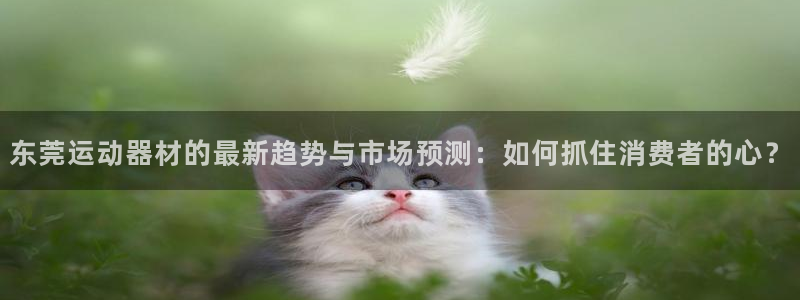 凯捷体育娱乐：东莞运动器材的最新趋势与市场预测：如何抓住消费