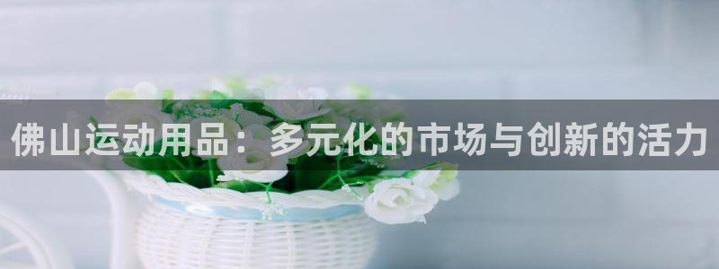 凯捷体育平台：佛山运动用品：多元化的市场与创新的活力