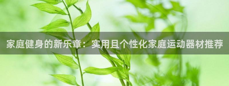 凯捷体育是干嘛的公司：家庭健身的新乐章：实用且个性化