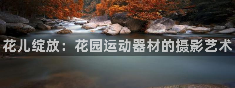 凯捷体育招商电话：花儿绽放：花园运动器材的摄影艺术