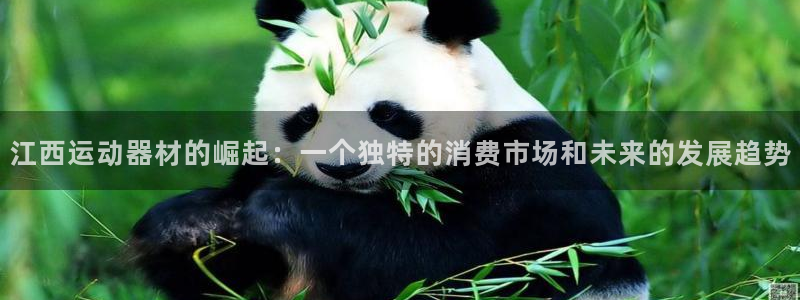 凯捷体育平台假的吗是真的吗：江西运动器材的崛起：一个