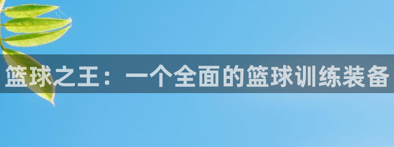 凯捷体育集团官网首页：篮球之王：一个全面的篮球训练装