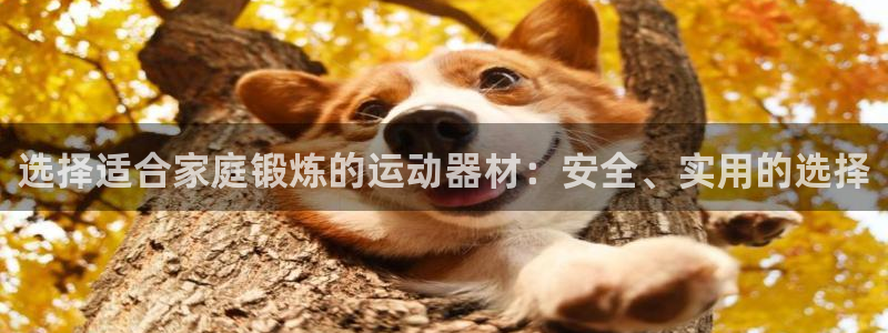 德国凯捷体育集团