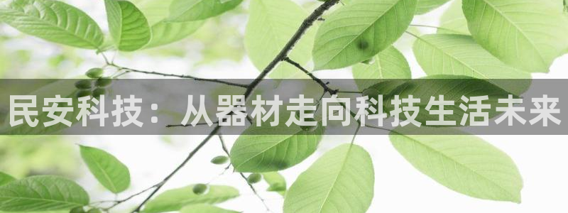 凯捷体育招商电话号码查询:民安科技:从器材走向科技生活未来