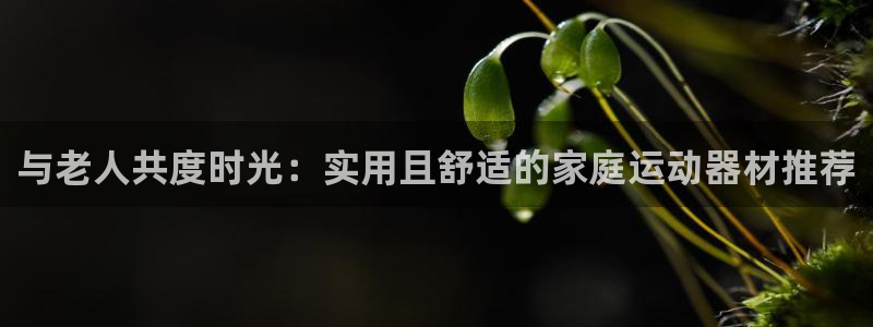 凯捷体育娱乐网站