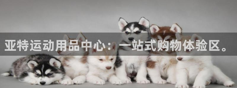 凯捷体育集团logo:亚特运动用品中心:一站式购物体验区。