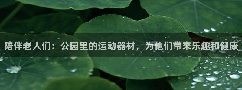 凯捷体育娱乐是那个系列的台子：陪伴老人们：公园里的运