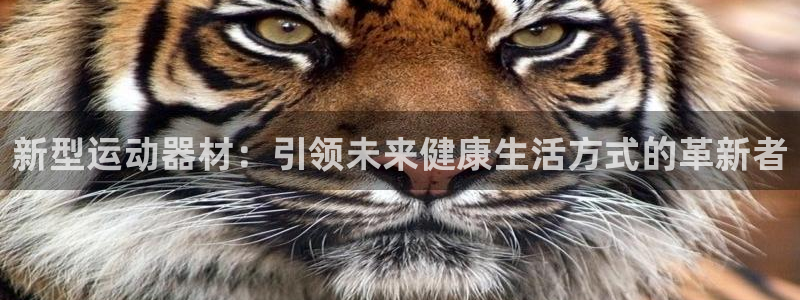 凯捷体育娱乐代理怎么样：新型运动器材：引领未来健康生