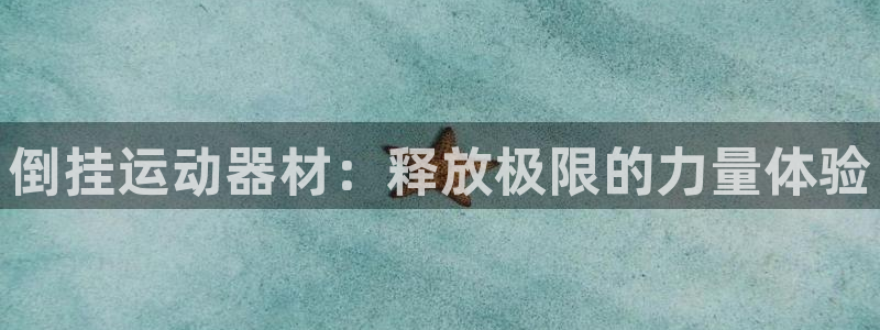 凯捷体育集团官网首页网址：倒挂运动器材：释放极限的力量体验