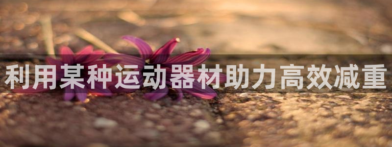 海南凯捷体育发展怎么样：利用某种运动器材助力高效减重