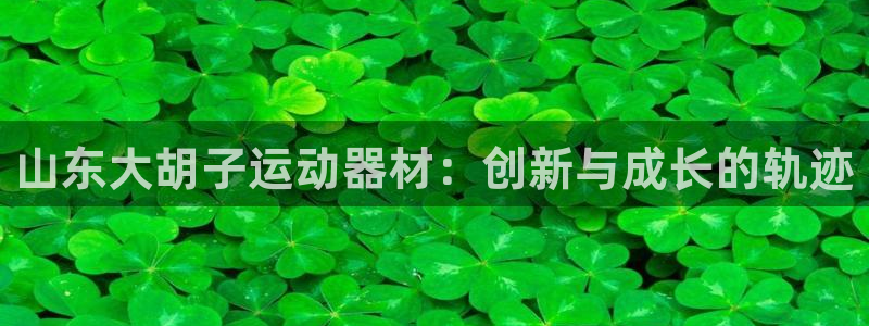 凯捷体育平台假的吗是真的吗：山东大胡子运动器材：创新