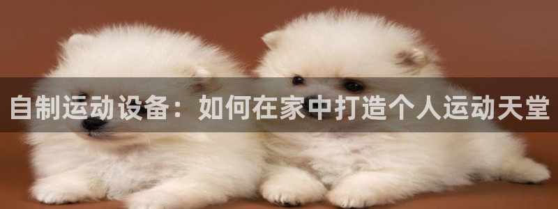 凯捷体育平台注册：自制运动设备：如何在家中打造个人运动天堂